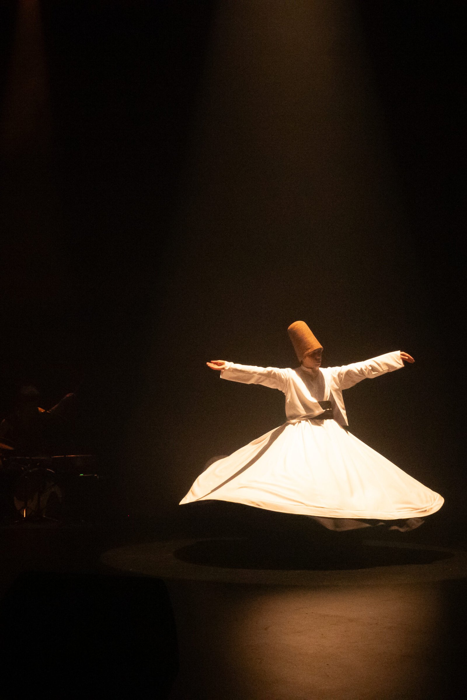 Rana Gorgani Derviche tourneur